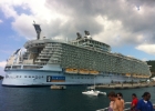 oasis of the seas